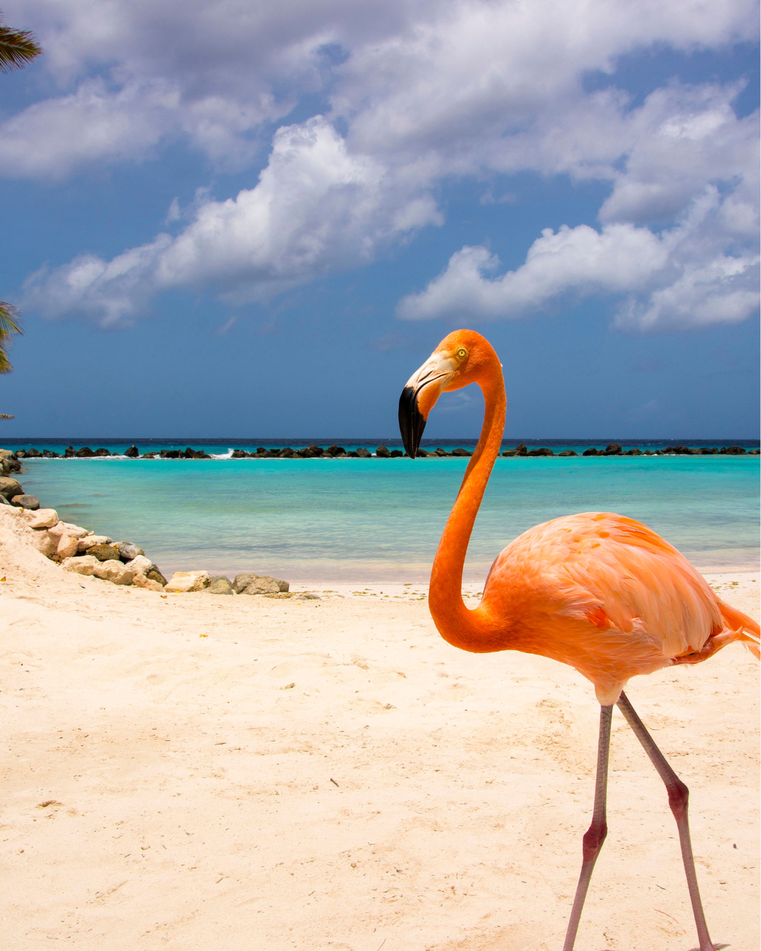 Aruba