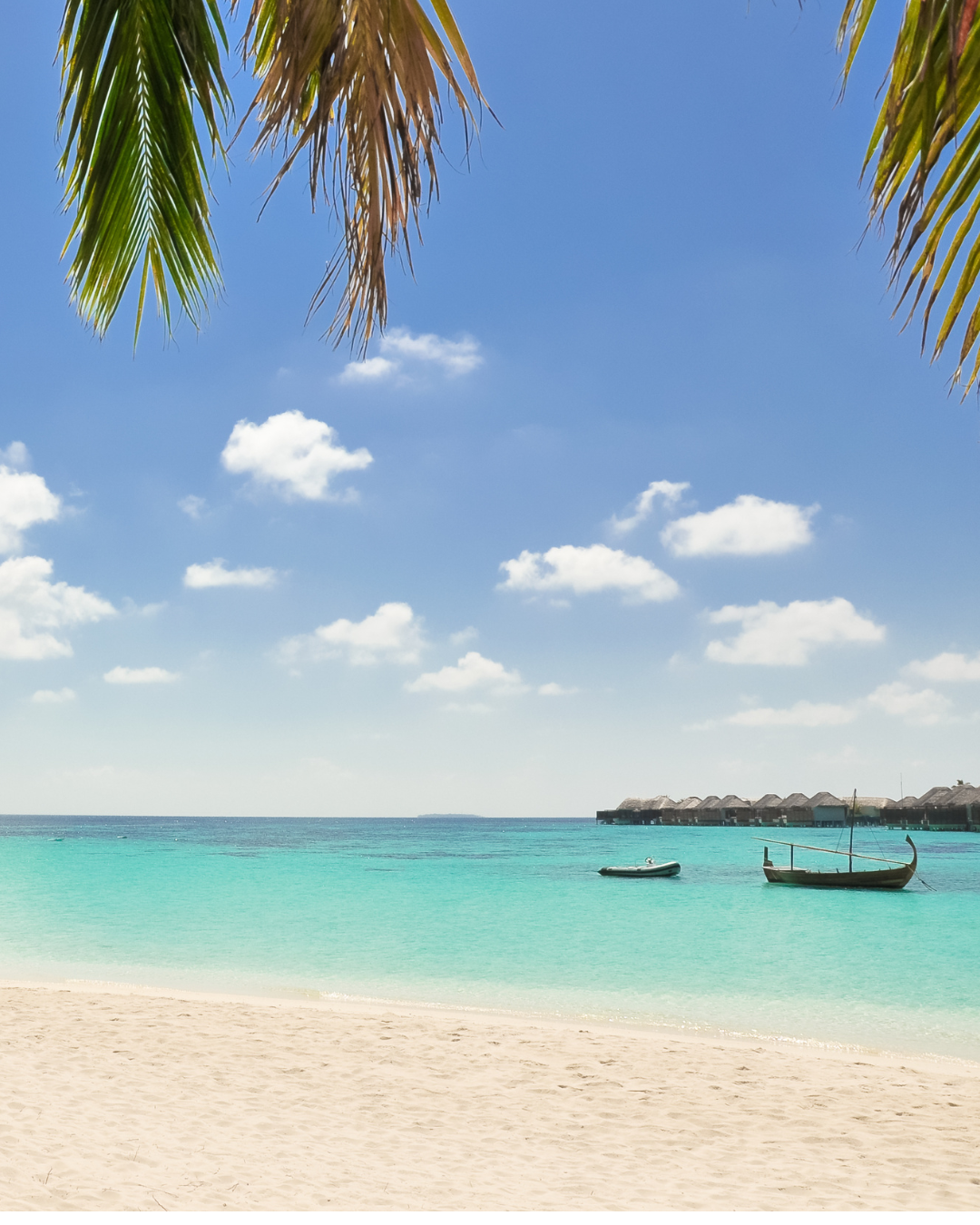 Caribe 02