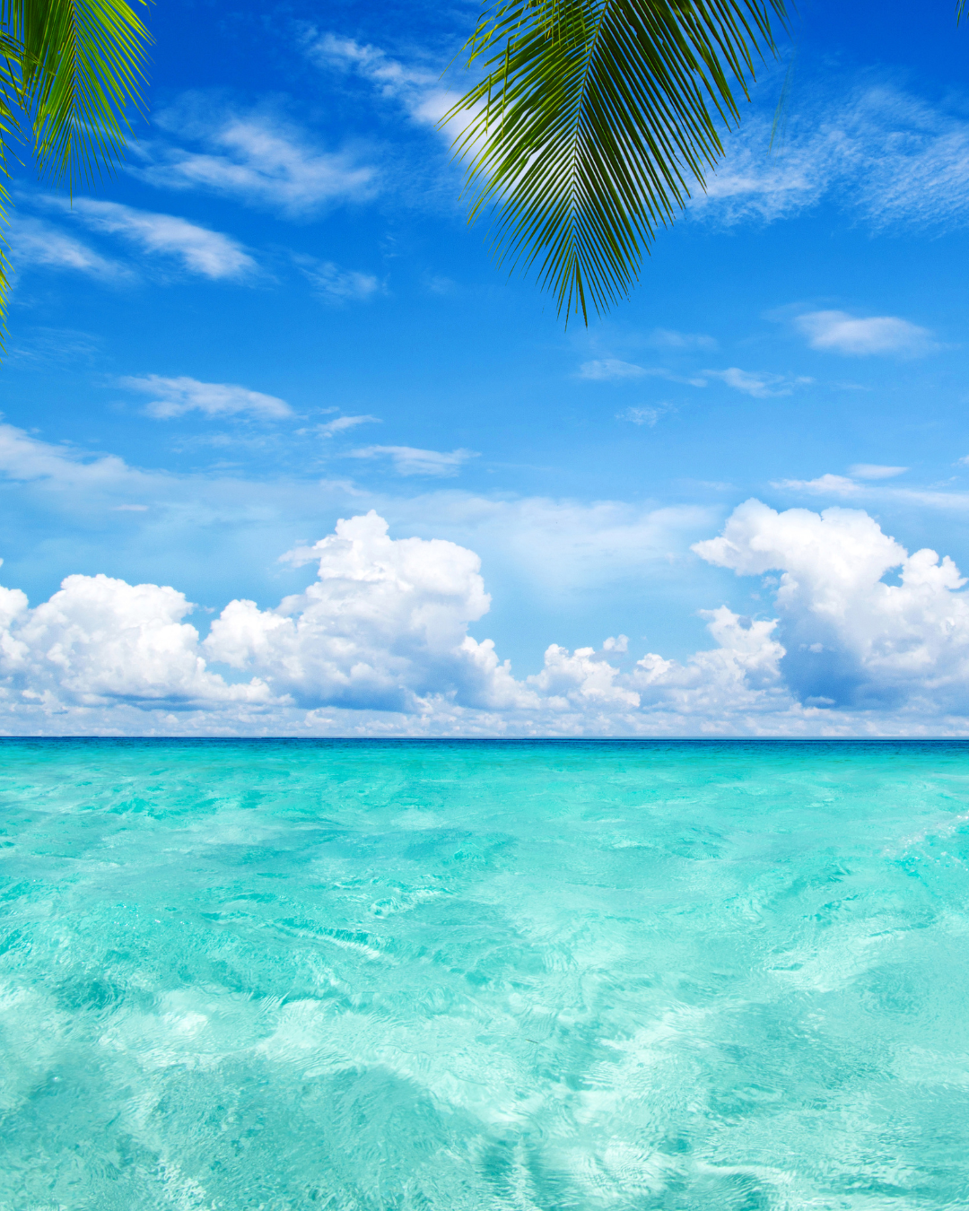 Caribe 03