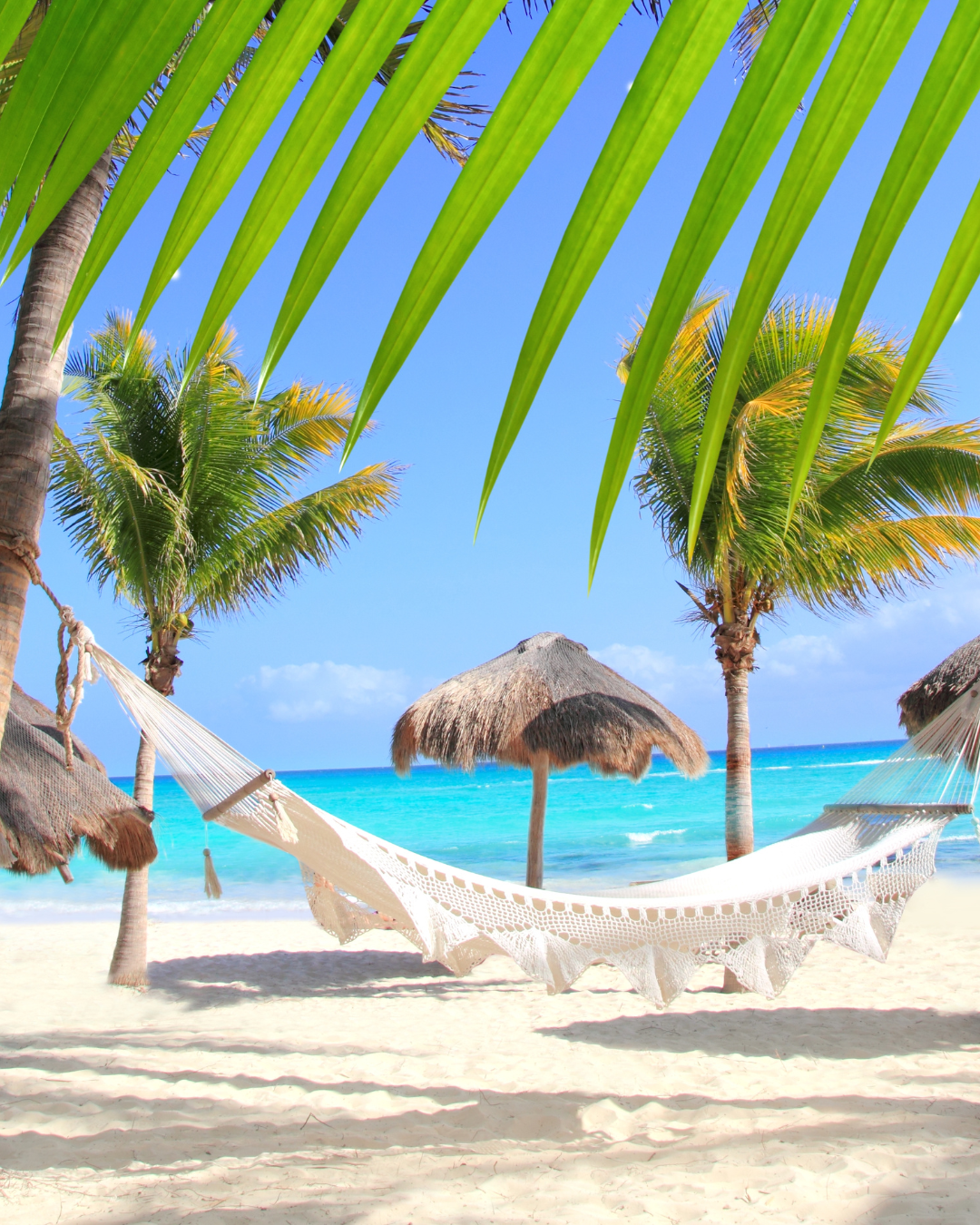Caribe 04
